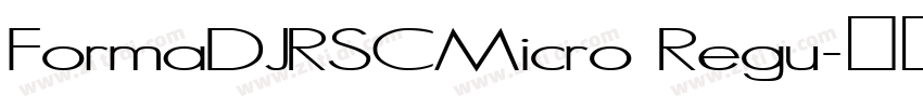 FormaDJRSCMicro Regu字体转换